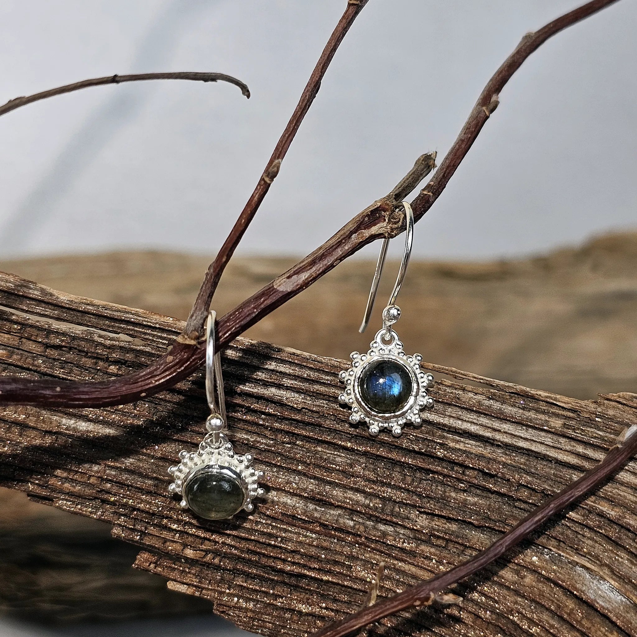 Labrador Sonnenfunken