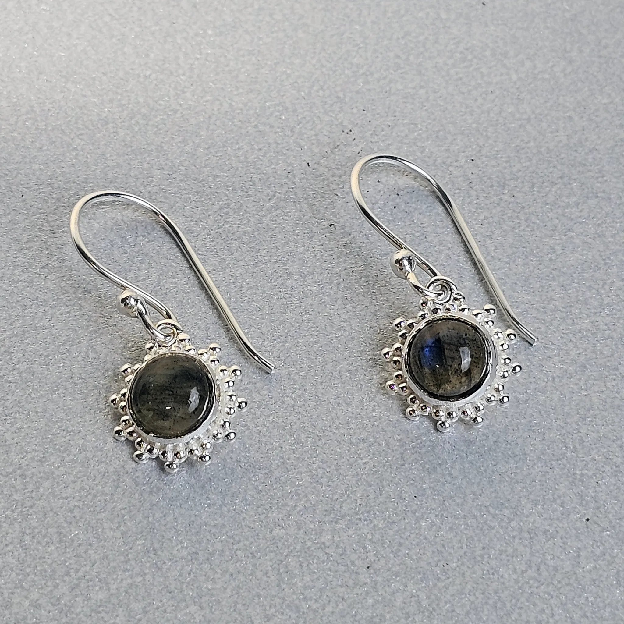 Labrador Sonnenfunken