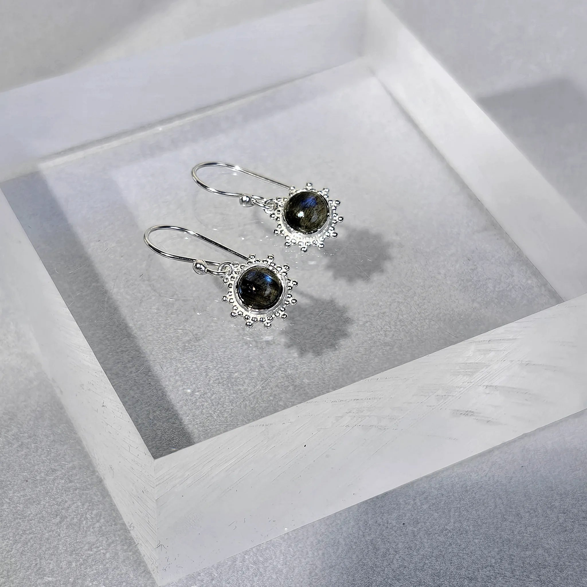 Labrador Sonnenfunken