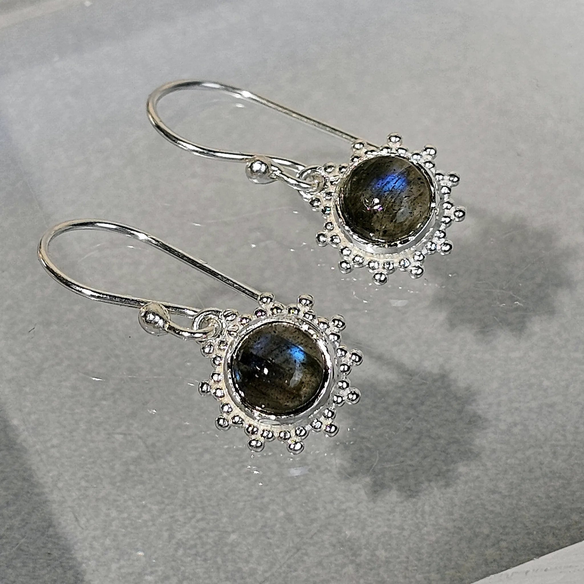 Labrador Sonnenfunken