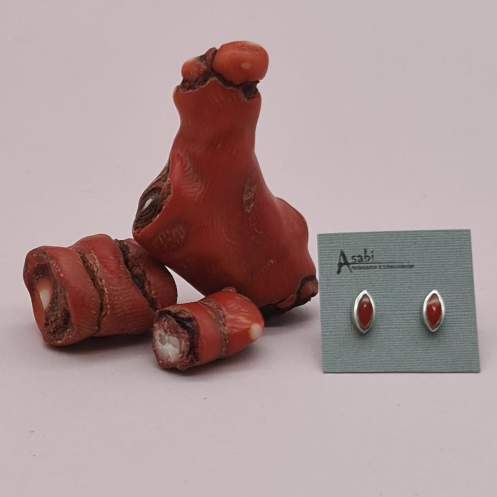 Korallen Ohrstecker