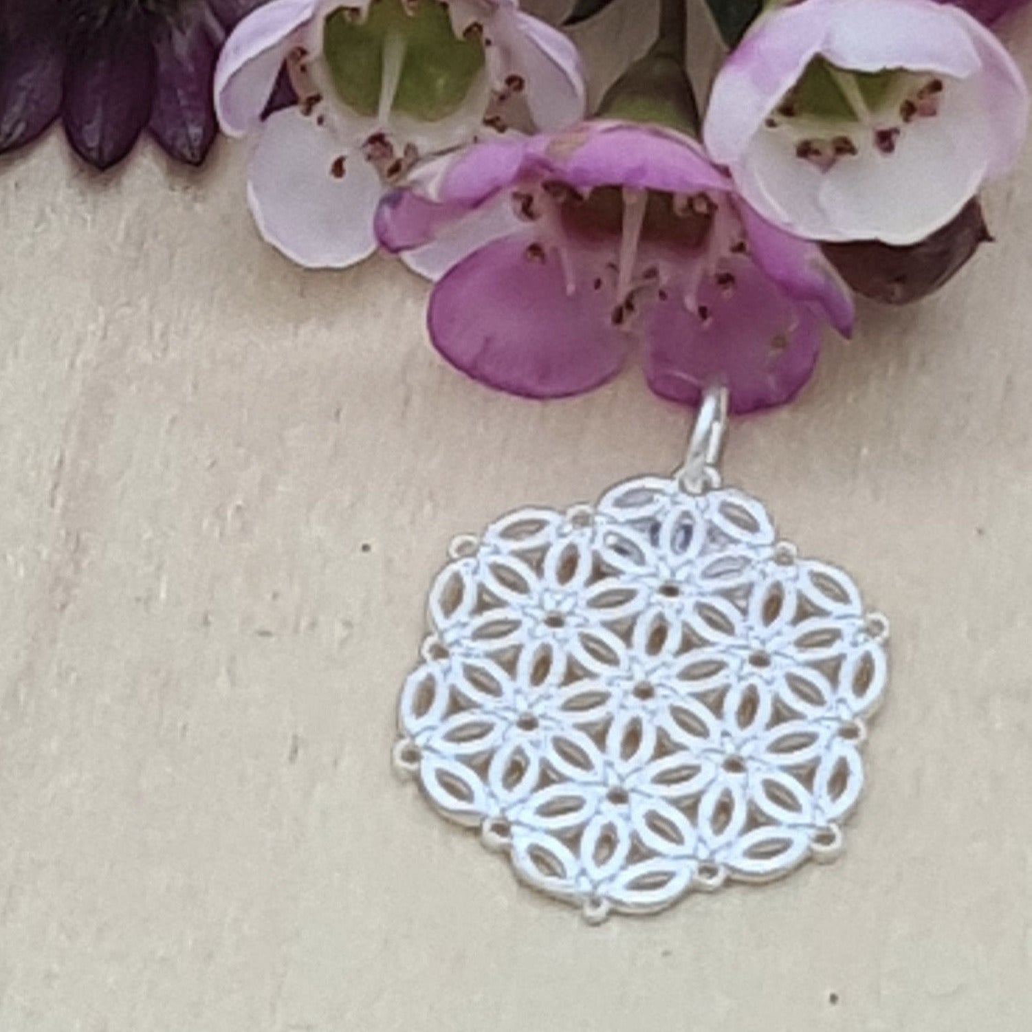Kleine Lebensblume