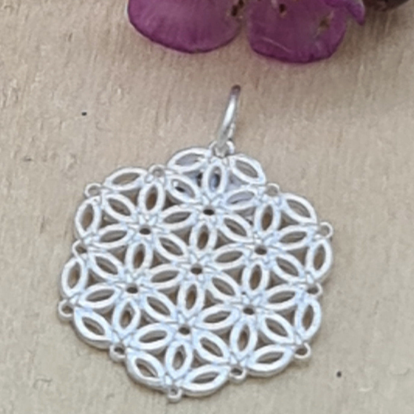 Kleine Lebensblume