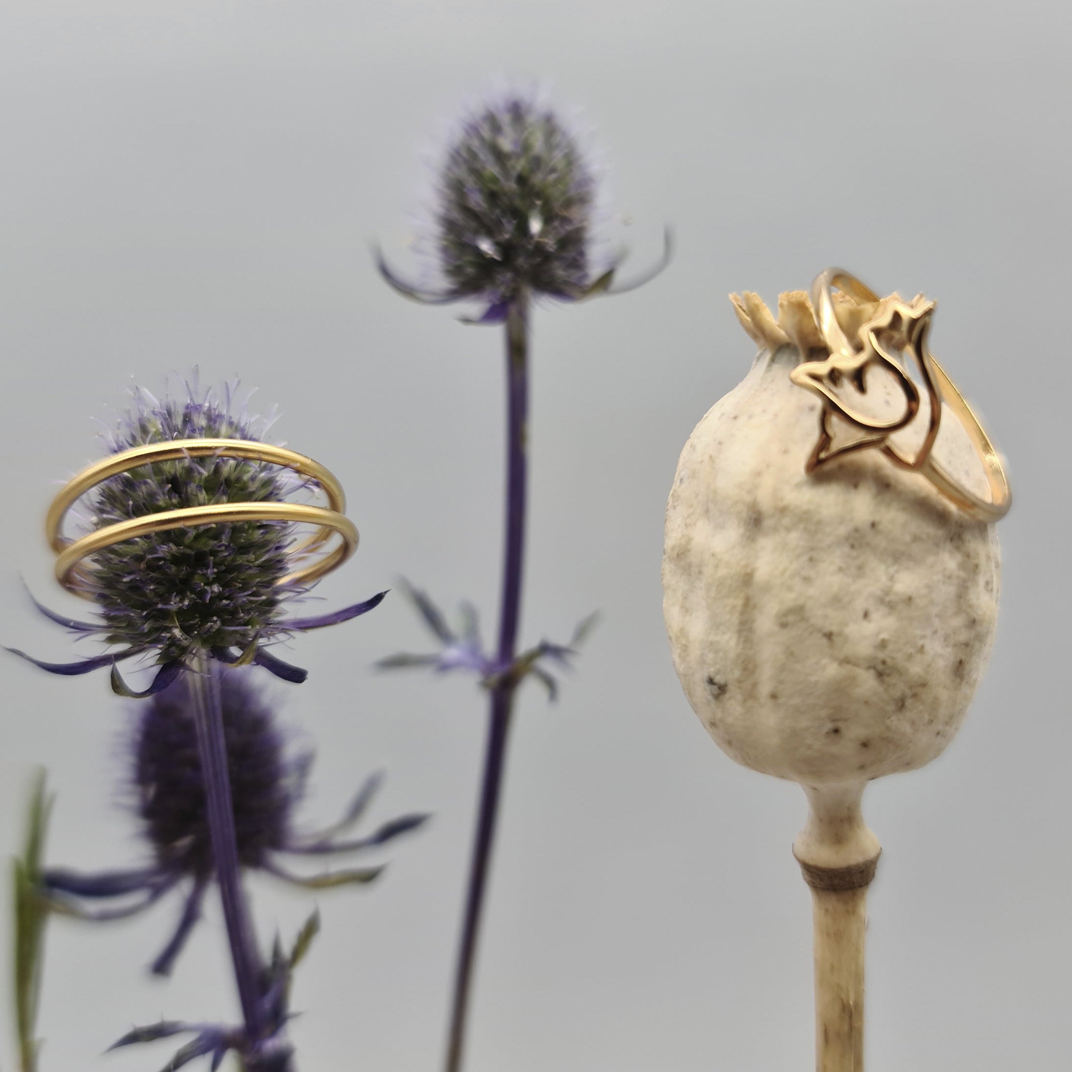 Ring mit Taube Gold